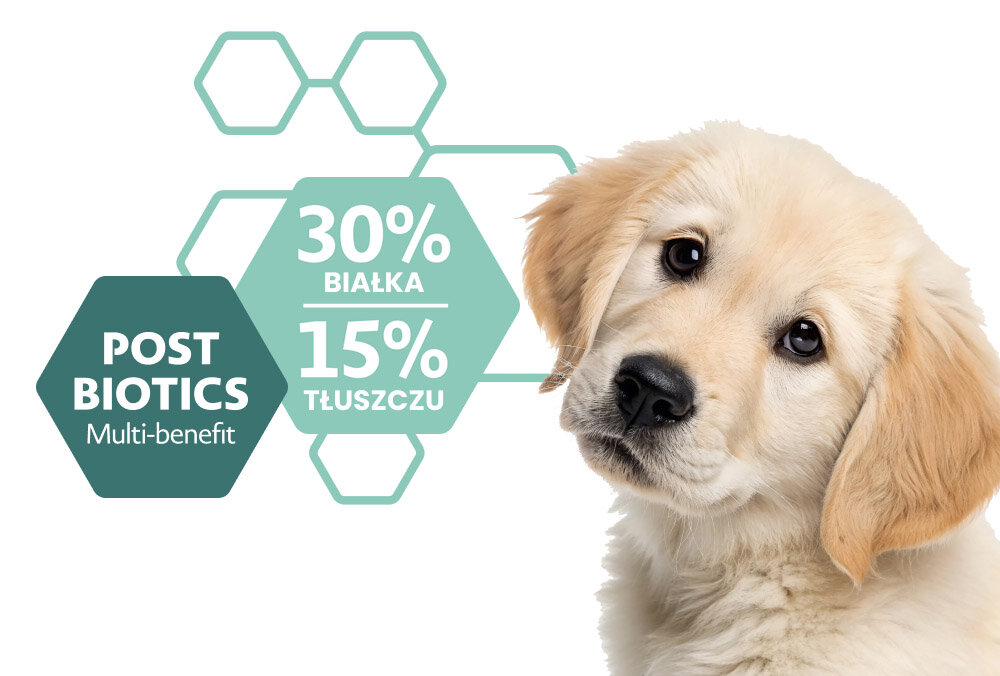 Obraz przedstawia psa oraz grafikę z tekstem: \'POST BIOTICS Multi-benefit\', \'30% BIAŁKA\', \'15% TŁUSZCZU\'.
