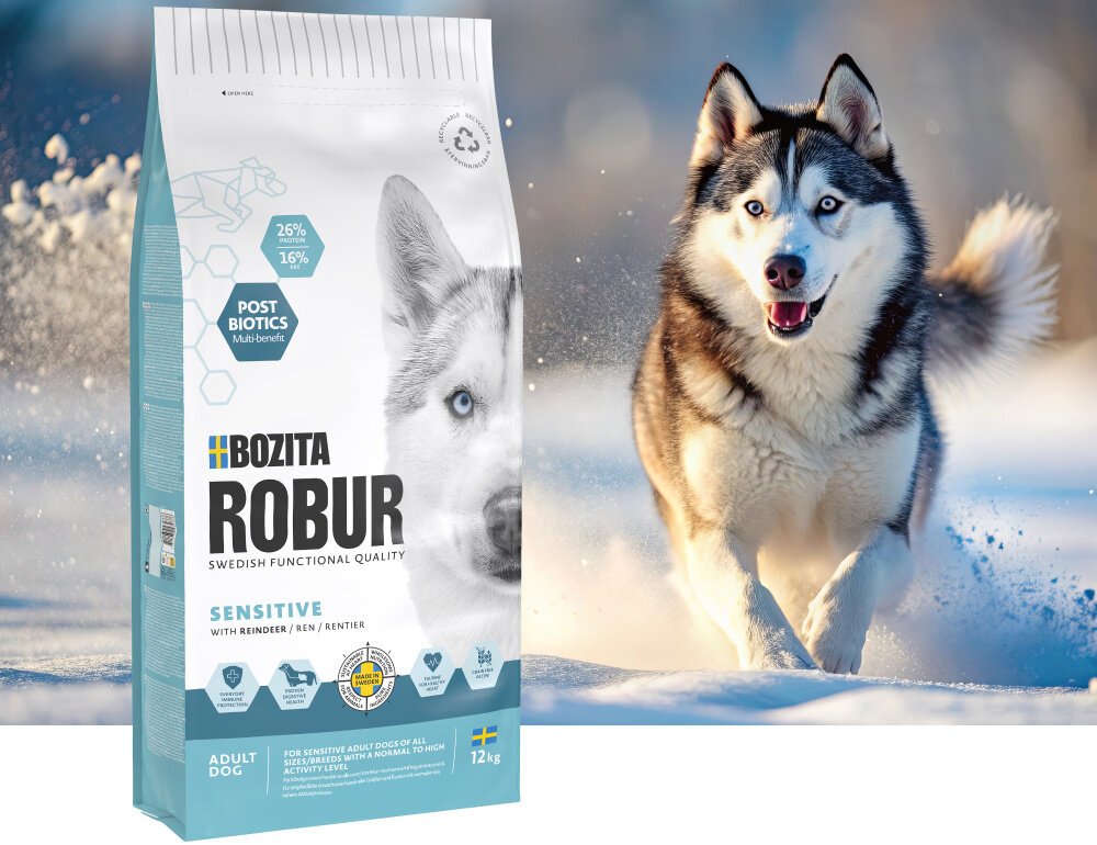 Na obrazie widoczna jest torba karmy dla psa marki BOZITA ROBUR z wizerunkiem psa husky. Obok torby znajduje się biegnący pies na tle zaśnieżonego krajobrazu.