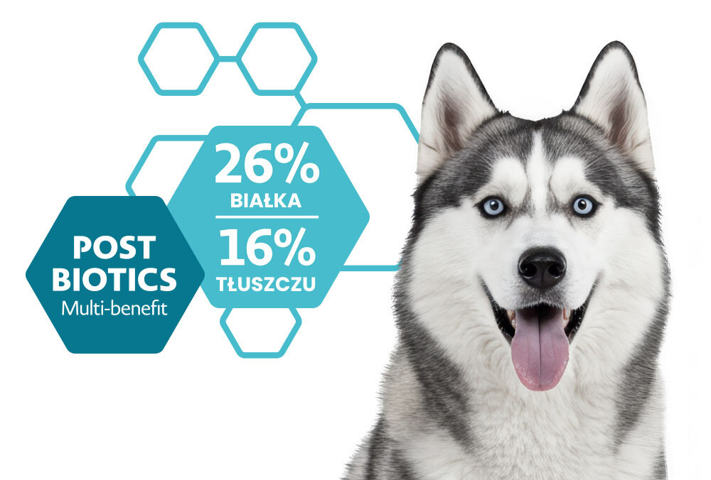 Na obrazie widoczny jest pies rasy husky z otwartym pyskiem. Obok psa znajdują się napisy: \'POST BIOTICS Multi-benefit\', \'26% BIAŁKA\', \'16% TŁUSZCZU\'.