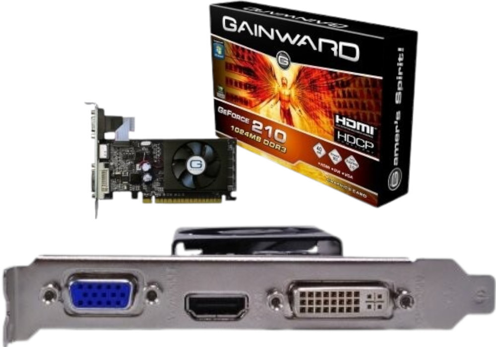 Karta graficzna GAINWARD GeForce 210 DDR3 multimedia wsparcie standardy wyposażenie