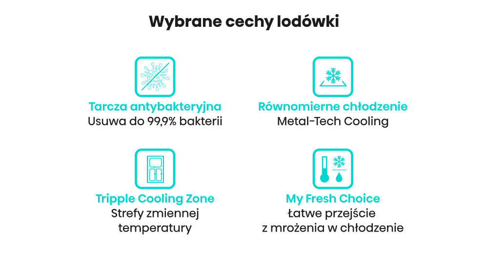 LODÓWKA HISENSE RF728N4SBFE MD cechy