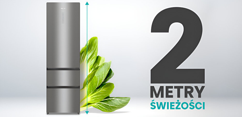 Lodówka HISENSE RM469N4AC dwa metry świeżości