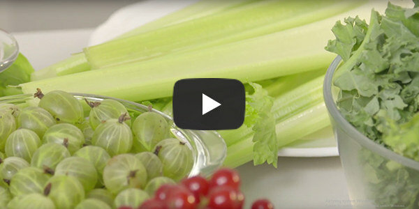 Philips Blender 228 Video 600x300 2 Philips Blender 228 Video 600x300 2