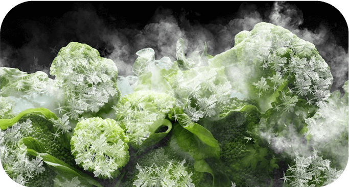 Zamrożone brokuły pokryte szronem i otoczone parą.