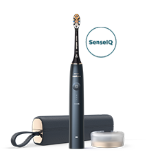 Philips PPrestige 9900