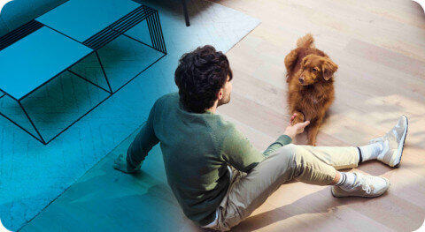 Czysty dom bez wysiłku