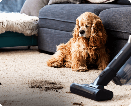 Odkurzacz na dywanie obok rozrzuconej ziemi. Na odkurzaczu widoczny jest napis \'Hisense\'.