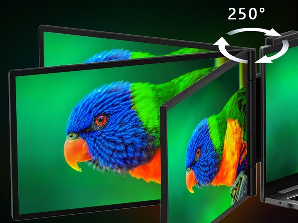 Monitor ZEUSLAP ZB14 Kolorowy ptak na zielonym tle widoczny na ekranach, które można obracać w zakresie 250 stopni, matowa powłoka, filtr niebieskiego światła