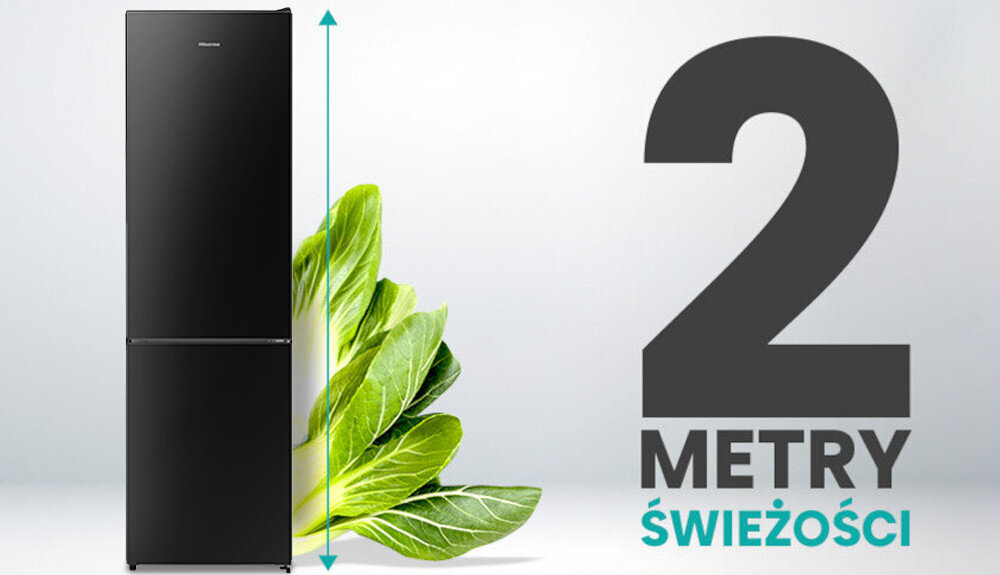 LODÓWKA HISENSE RB440N4GBE 2 metry świeżość