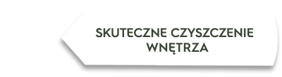 Grafika przedstawia biały prostokąt z czarnym napisem \'SKUTECZNE CZYSZCZENIE WNĘTRZA\'.