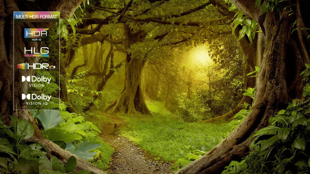 Telewizor TCL 55A300 PRO - Obsługa wielu standardów HDR