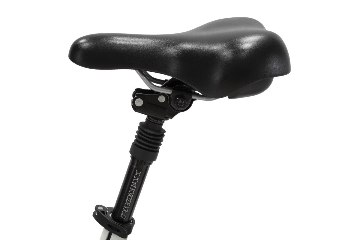 Rower elektryczny ARGENTO Piuma-S-S 210003 U16 20 cali Biały