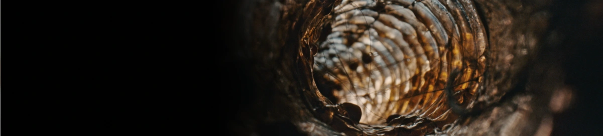 Wnętrze urządzenia pokryte brudnym osadem, resztkami wody i włosami