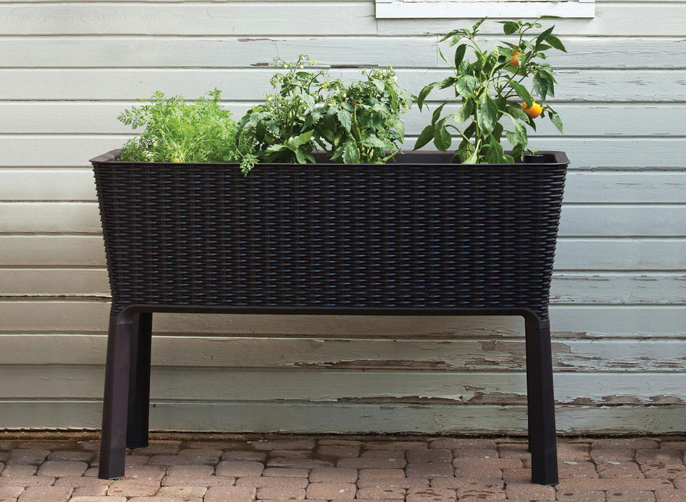 Donica KETER Easy Grow 230298 120 L Antracytowy donica ustawiona na ziemi na tle budynku wygodna uprawa roślin komfortowa pielęgnacja uprawa roślin w każdej przestrzeni