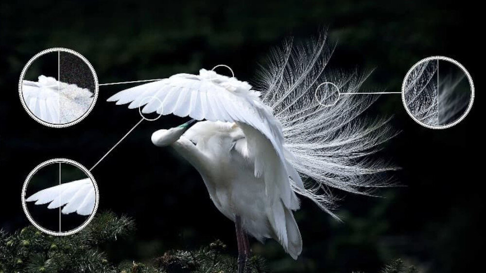 Telewizor TCL LED C745  - ai clarity