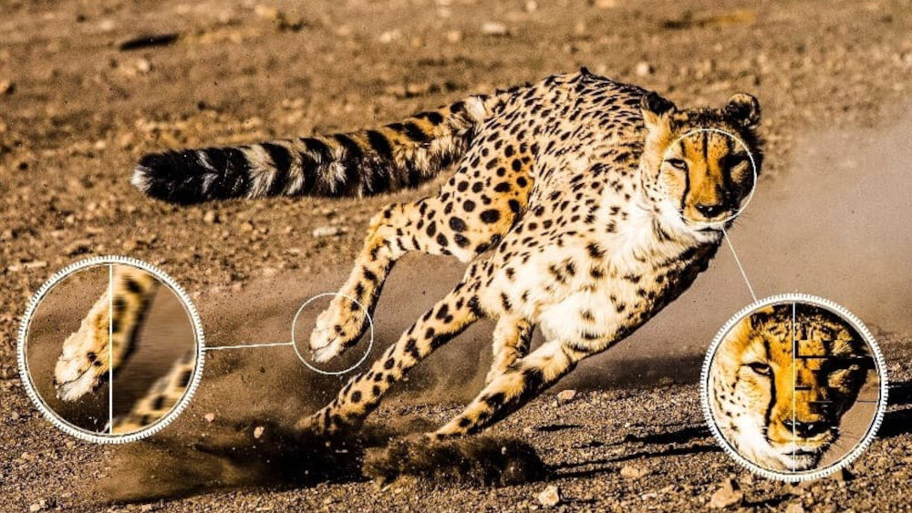 Telewizor TCL LED C745  - ai motion