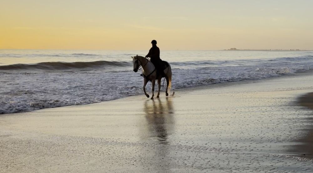 Osoba na koniu spaceruje brzegiem morza przy zachodzie słońca. Fale delikatnie uderzają o piasek, tworząc spokojną atmosferę.