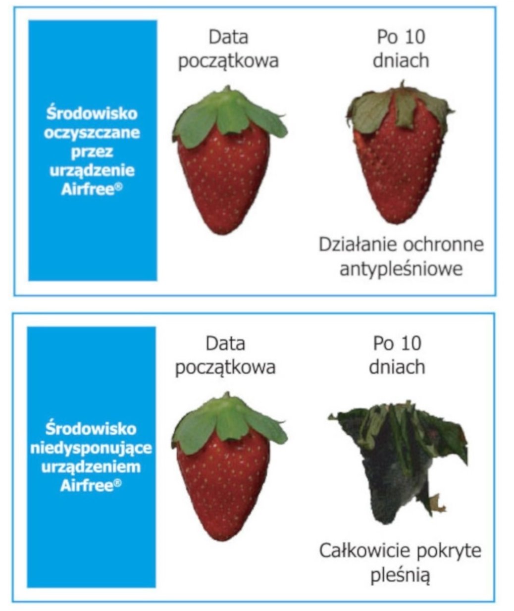 oczyszczacz powietrza airfree lotus - test