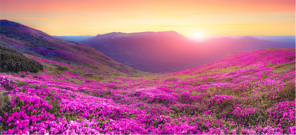 Aparat KODAK AZ252 Bialy obiektyw szerokokątny panorama