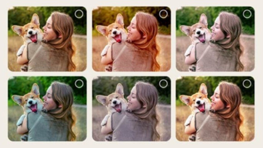 Obraz przedstawia sześć wersji tego samego zdjęcia kobiety trzymającej psa, różniących się filtrami kolorystycznymi. Każda wersja ma inny odcień, od ciepłych po zimne barwy.