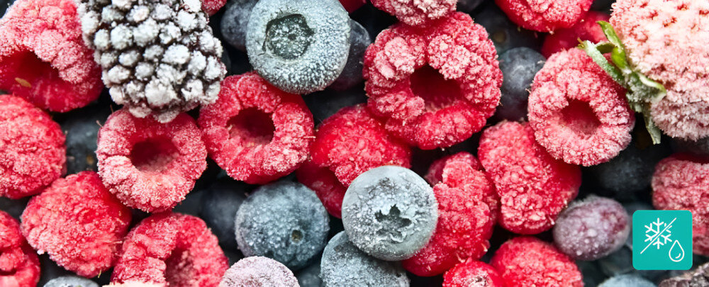 LODÓWKA GORENJE NRR9185EABXLWD wizualizacja owoce szron lód maliny borówki ikona NoFrost Plus bez lodu szronu eliminacja ręczne rozmrażanie