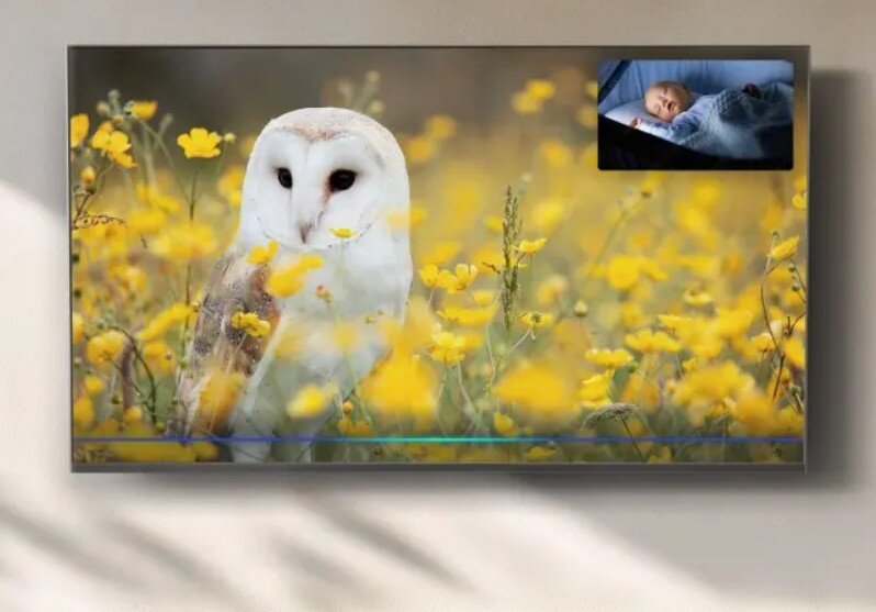 Telewizor PANASONIC TV-65W85BEZ monitorowanie kamer komenda Alexa podgląd, telewizor zawieszony na ścianie, obraz w obrazie