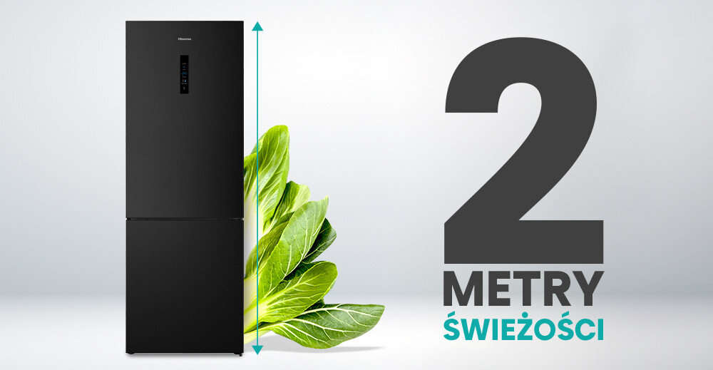 LODÓWKA HISENSE RB645N4BFE1 2 metry świeżości wysokość duża pojemność miejsce wysokość 2 metry