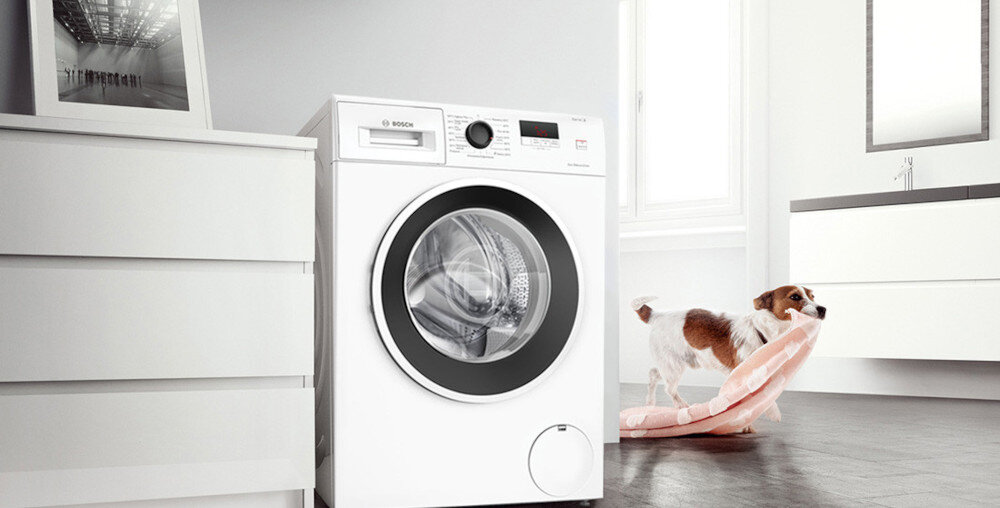 Na obrazie znajduje się biała pralka z widocznym logo BOSCH, umieszczona w nowoczesnym wnętrzu. Obok pralki stoi pies trzymający w pysku różowy koc.
