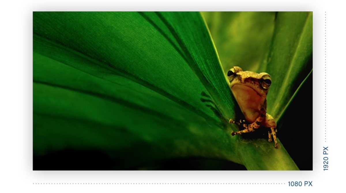 Monitor AOC M2060SWDA2 - Rozdzielczość Full HD