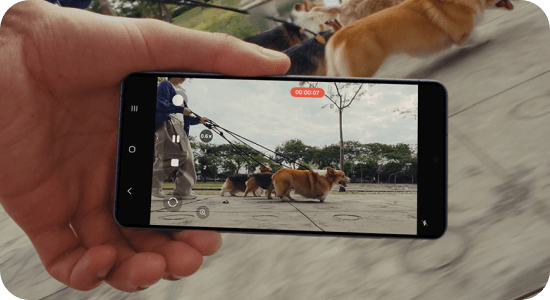 Osoba trzyma smartfon, na ekranie którego widać nagranie wideo przedstawiające kilka psów na smyczy. Na ekranie widoczny jest licznik czasu nagrania \'00:00:07\'.