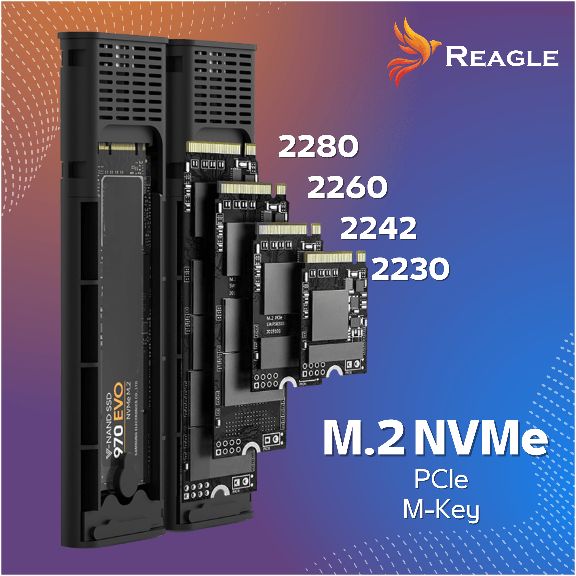 Obraz przedstawia dwuzatokową obudowę na dyski SSD z widocznymi różnymi rozmiarami modułów M.2 NVMe. Na tle gradientu widnieje logo Reagle oraz teksty: \'2280\', \'2260\', \'2242\', \'2230\', \'M.2 NVMe\', \'PCIe\', \'M-Key\'.