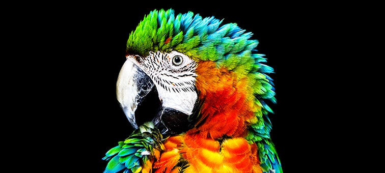 Telewizor SONY OLED XR-A90JAEP - technologia OLED