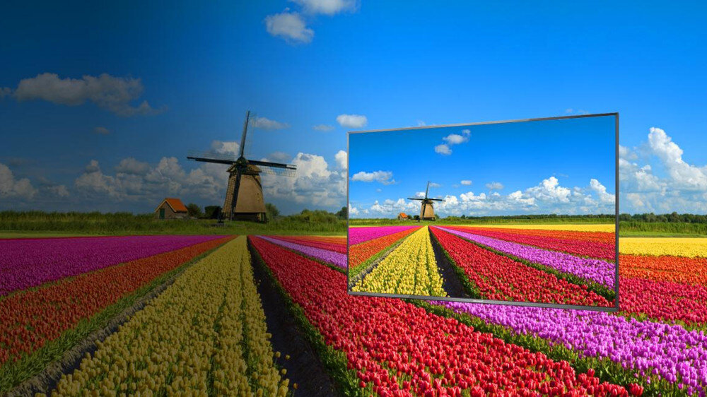 Telewizor PANASONIC CX750E  - kolory