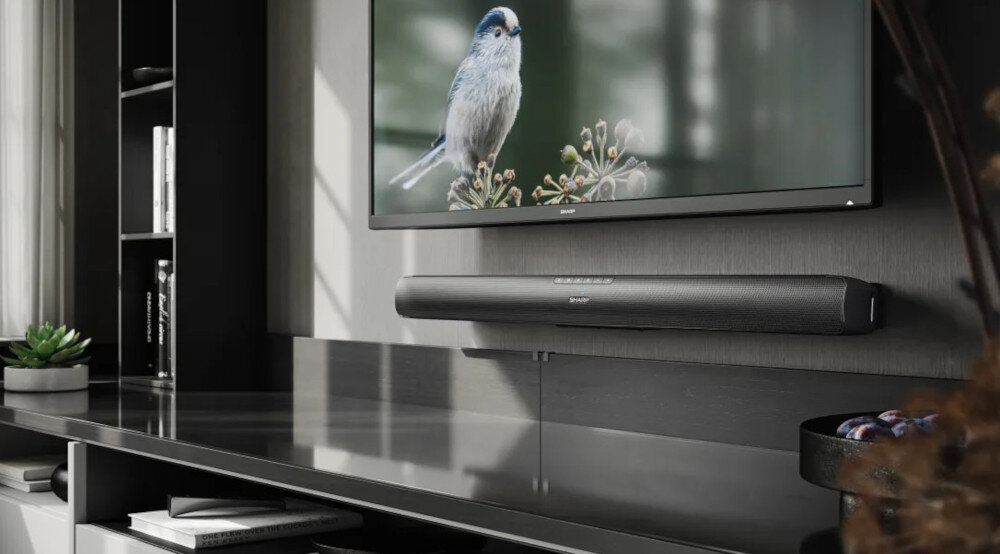 Na obrazie widać czarny soundbar zamontowany na ścianie pod telewizorem, na którym wyświetlany jest ptak. W tle znajduje się półka z książkami i rośliną w doniczce.