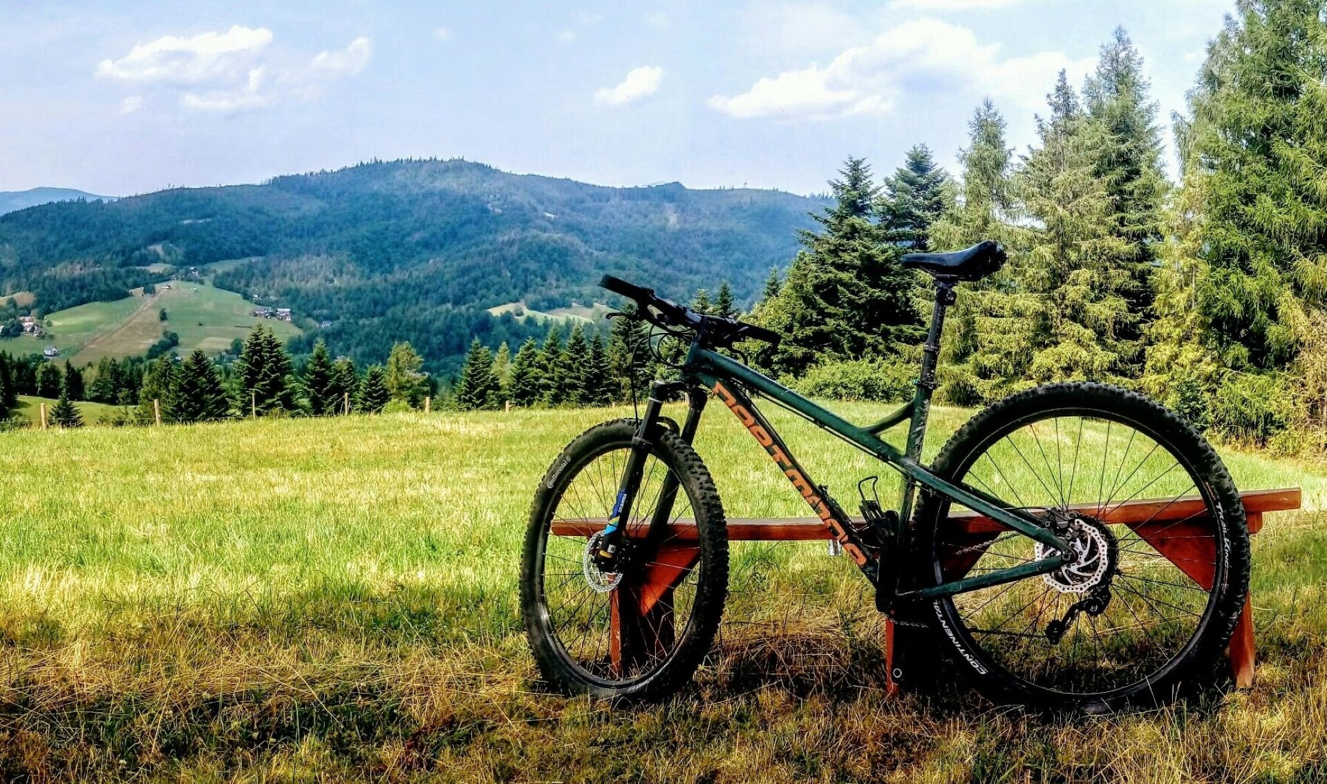 Rower MTB do 4000 zł – ranking [TOP10]