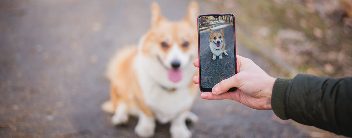 Co to jest HDR w telefonie?