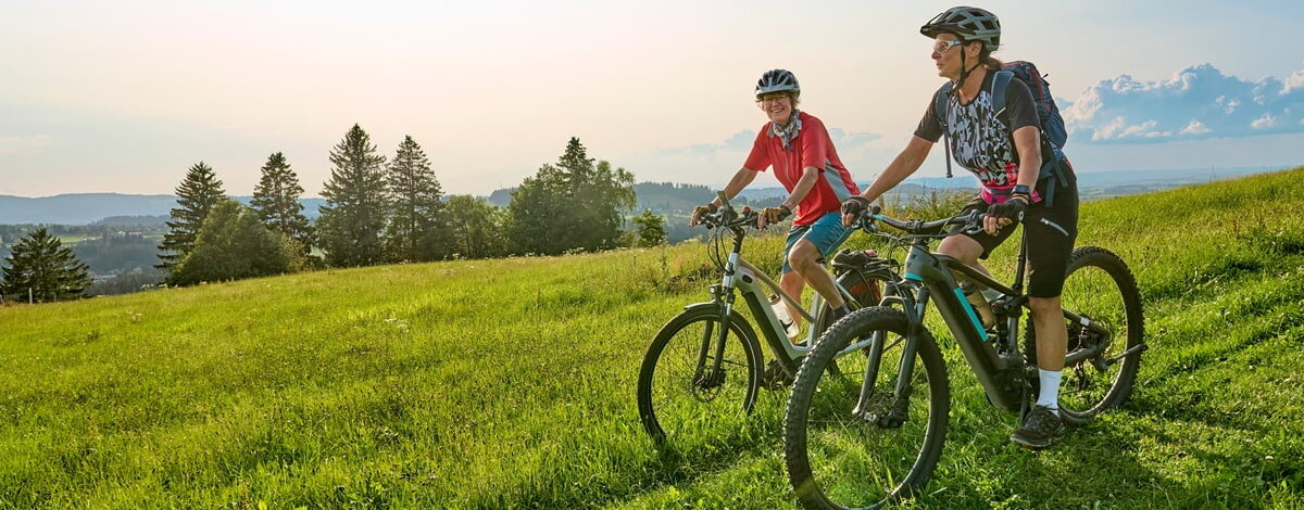 Rower miejski 28 cali