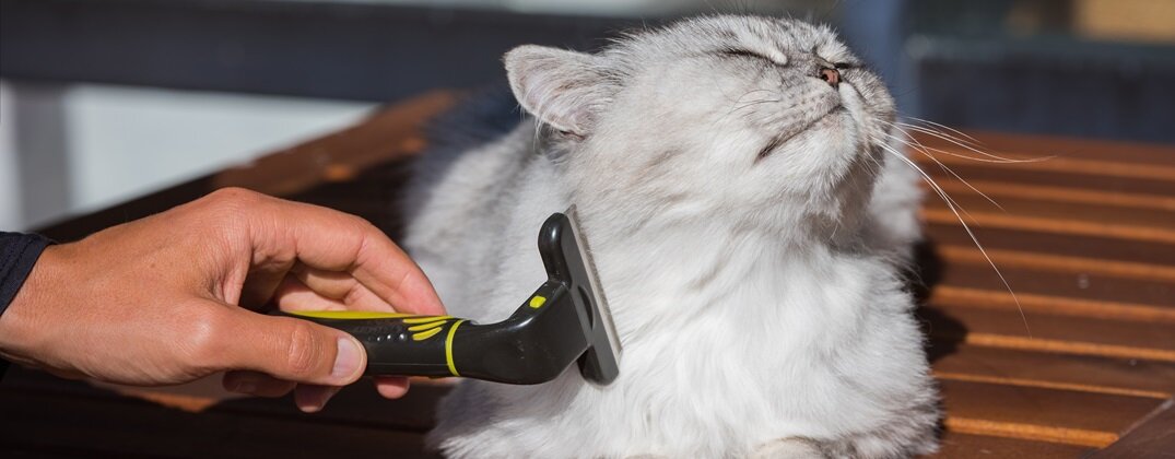 furminator do długiej sierści