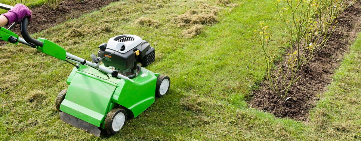 Jak działa wertykulator i kiedy warto go używać?