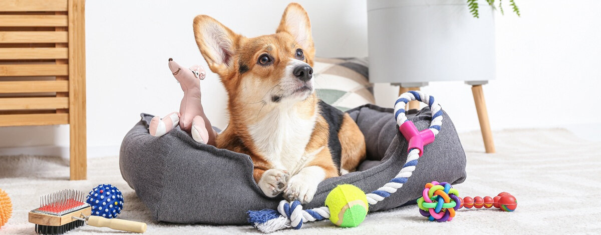 Legowisko dla psa 75 x 65 x 20