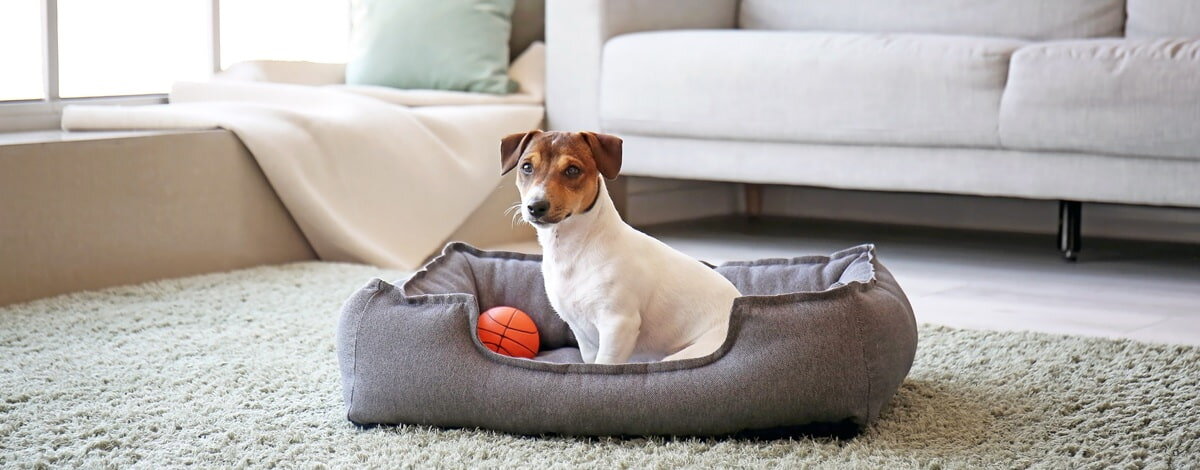 Legowisko dla psa 75 x 65 x 20 cm