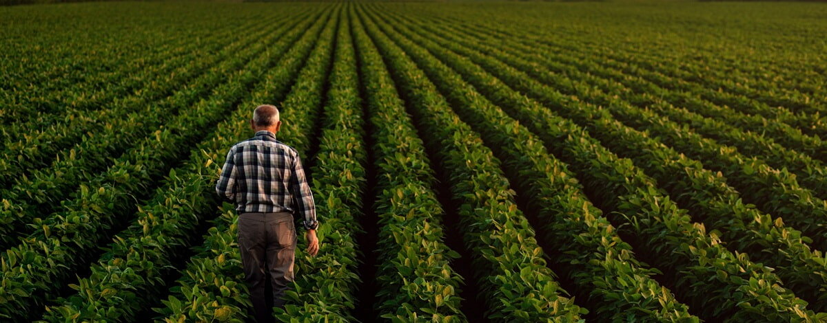 Koc elektryczny 100 W