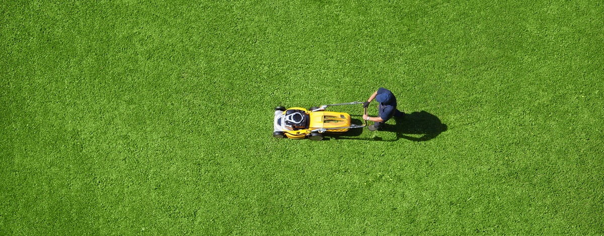 Jaki silnik do kosiarki sprawdzi się najlepiej?