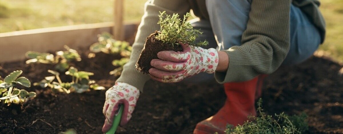 Kwiecień w ogrodzie – jakie prace wykonać i jak przygotować rośliny na wiosenny wzrost?