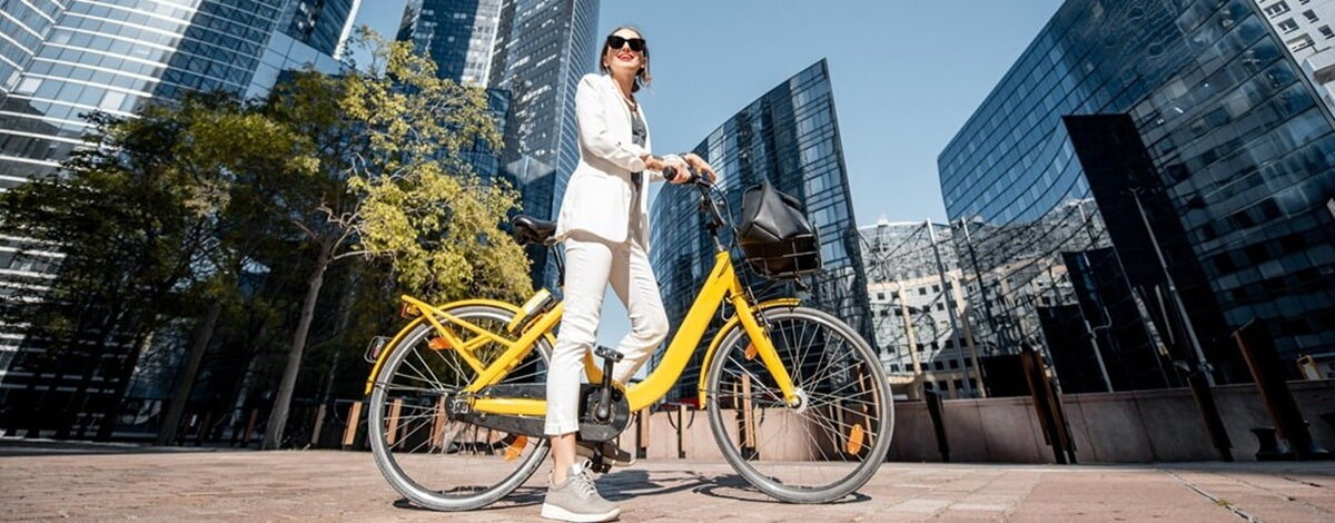 Ładowarka do roweru elektrycznego 220-240 V