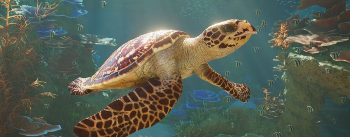 Planet Zoo 2 zmierza na PS5, Xbox i PC. Zwierzęta w końcu wyjdą poza granice zoo