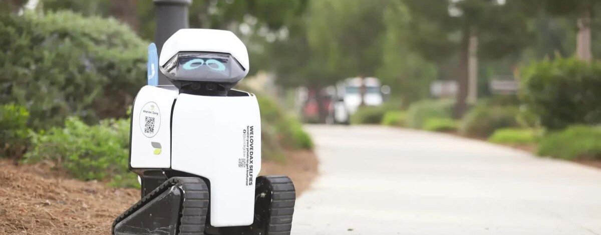 Te małe roboty podbiły internet. Gdy poznasz ich prawdziwą misję, spojrzysz na chodnik inaczej