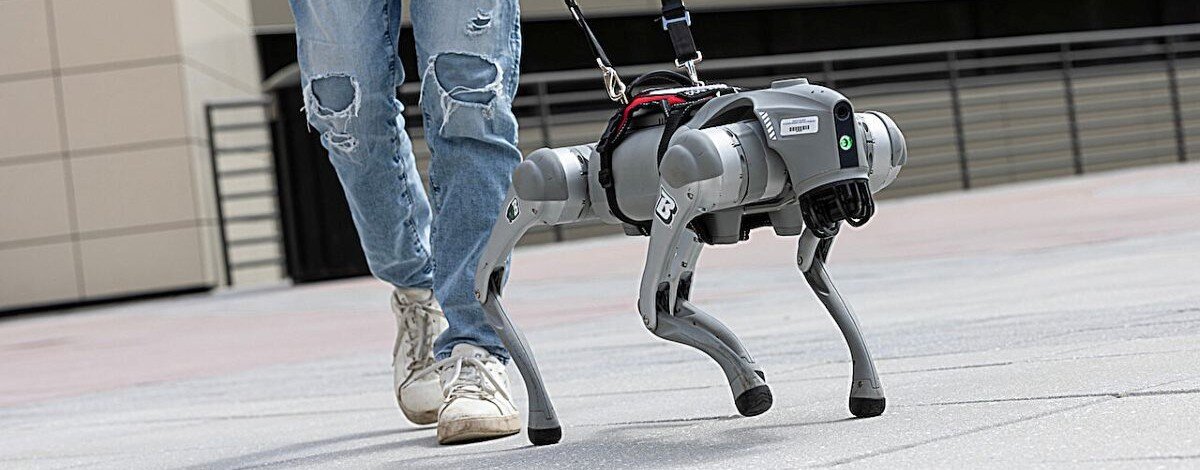 To nie science fiction. Robot-pies z AI może wkrótce zastąpić tradycyjnego przewodnika