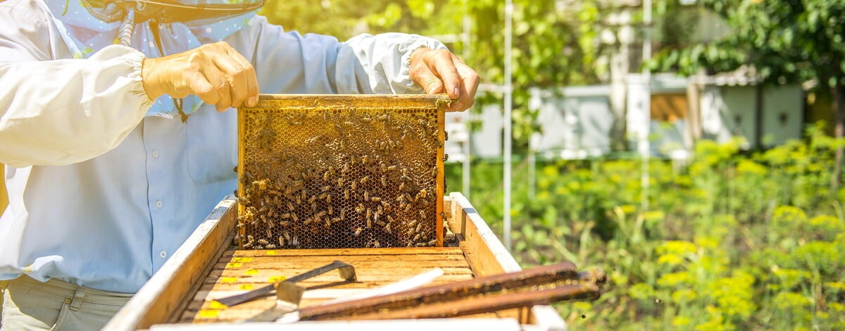 Kubek termiczny 300 ml 