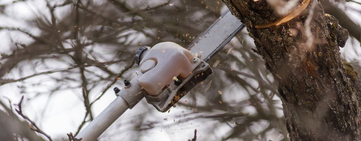 akumulatorowa piła do gałęzi